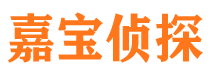 巨鹿市调查公司